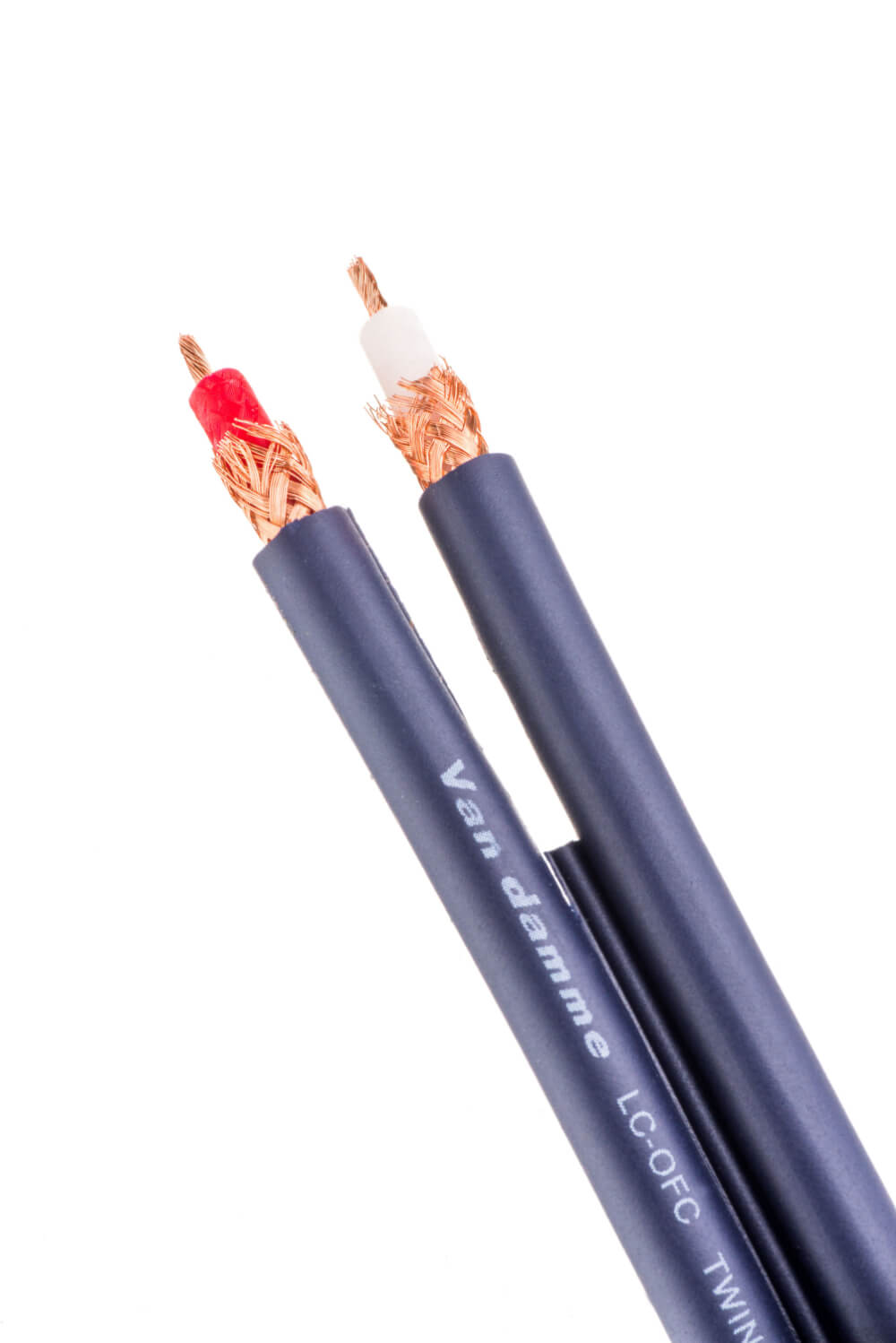 Twin Interconnect blue
